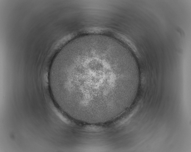 X0000110980633200907022056