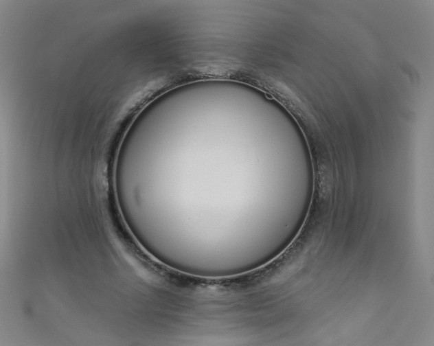 X0000110980634200907022056