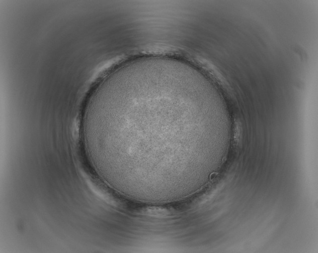 X0000110980636200907022056