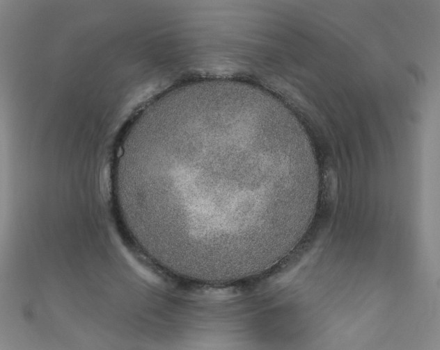 X0000110980638200907022056