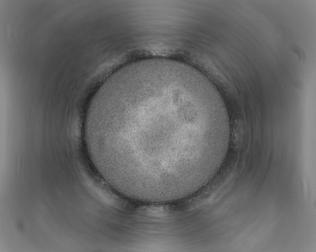 X0000110980639200907022056