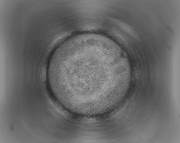 X0000110980640200907022057