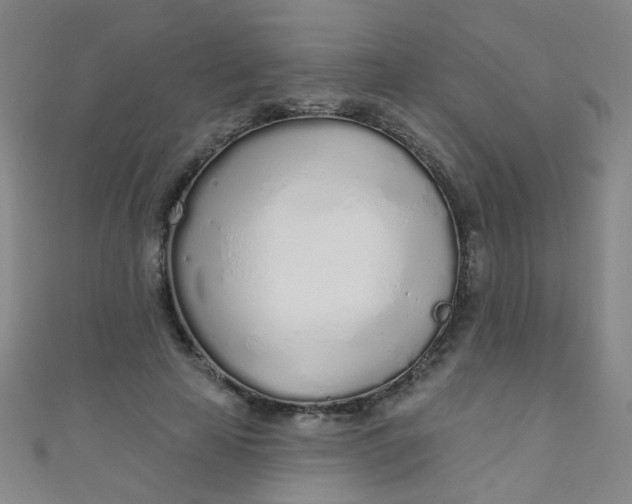 X0000110980641200907022057