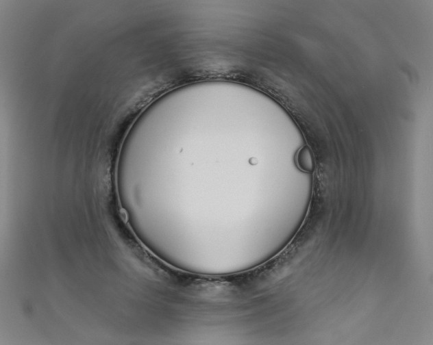 X0000110980642200907022057