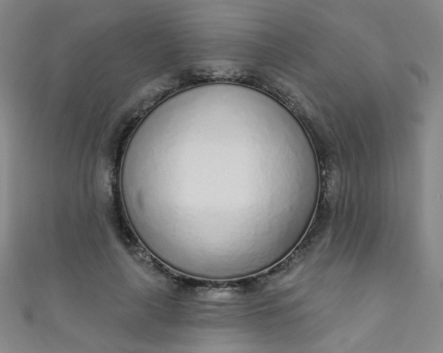 X0000110980643200907022057