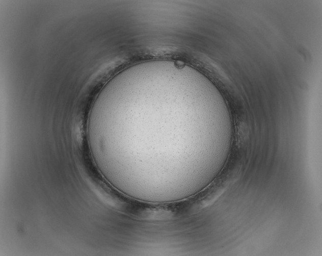 X0000110980644200907022057