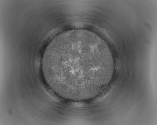 X0000110980645200907022057