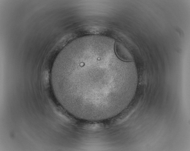 X0000110980646200907022057