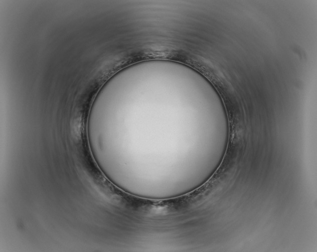 X0000110980647200907022057