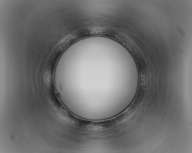 X0000110980648200907022057