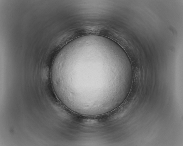 X0000110980649200907022057