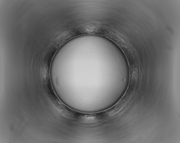 X0000110980651200907022057