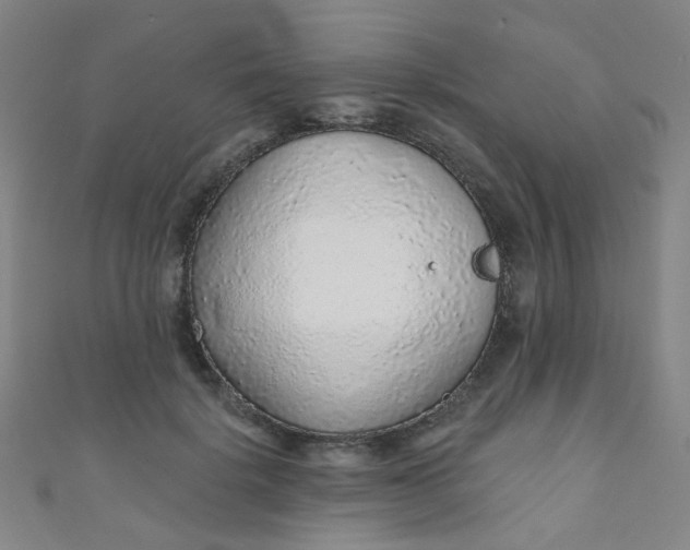 X0000110980652200907022057