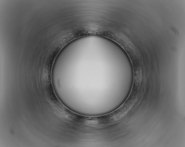 X0000110980653200907022057