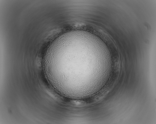 X0000110980654200907022057