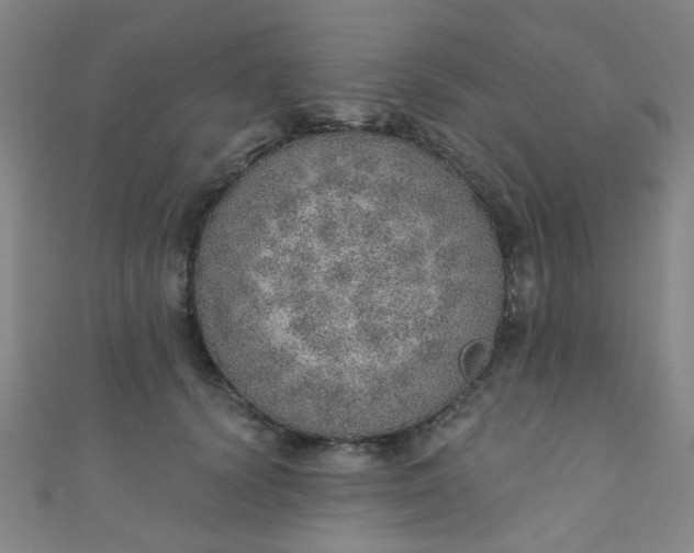 X0000110980656200907022057