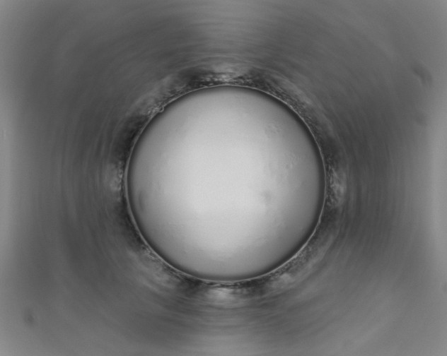 X0000110980657200907022057