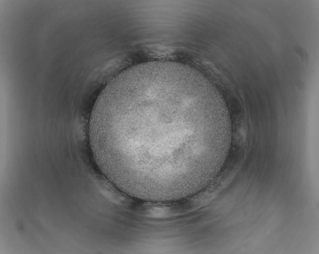 X0000110980658200907022057