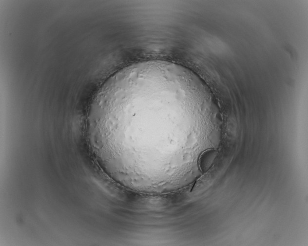 X0000110980659200907022057