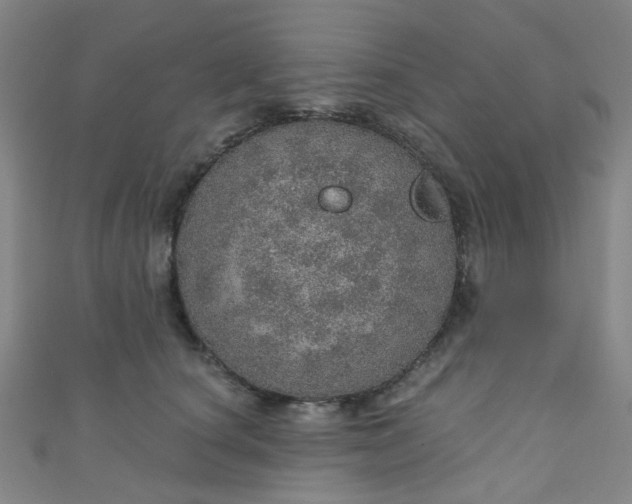 X0000110980660200907022057