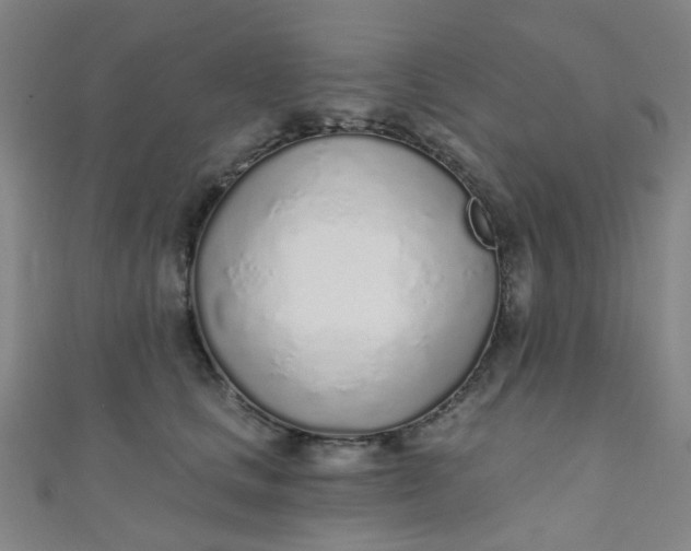 X0000110980661200907022057