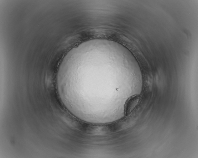 X0000110980663200907022057