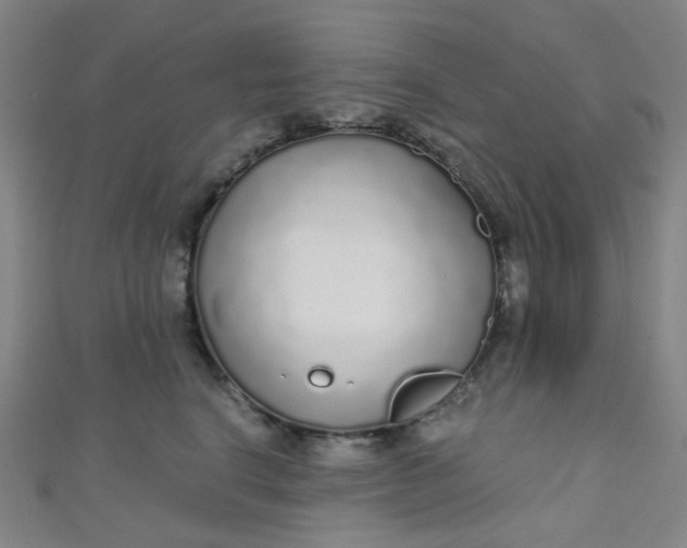 X0000110980664200907022057