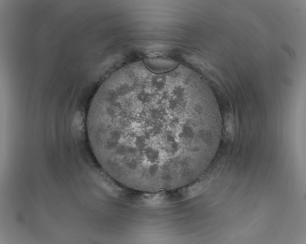 X0000110980667200907022057