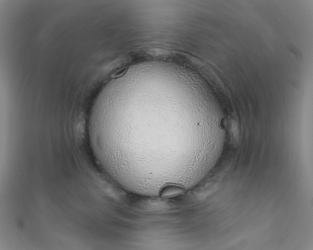 X0000110980668200907022057