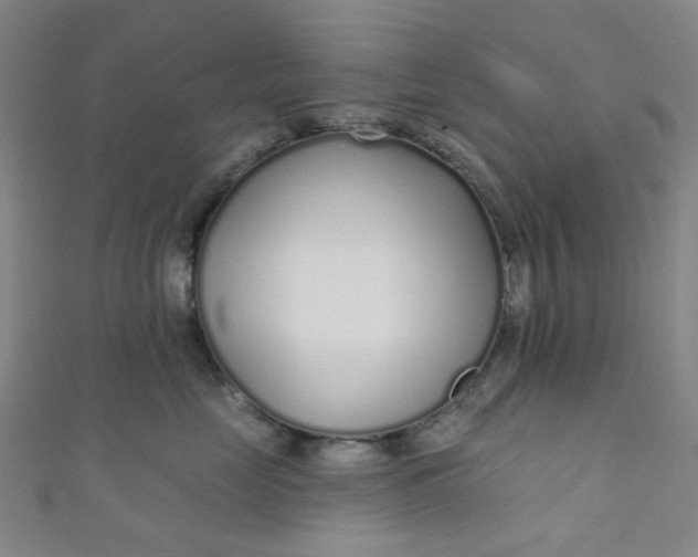 X0000110980669200907022057