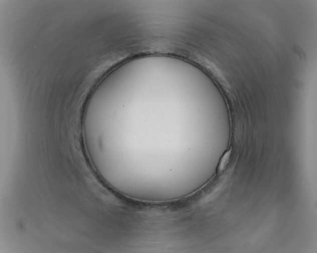 X0000110980673200907022056