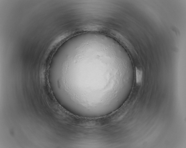 X0000110980675200907022056