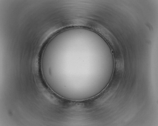 X0000110980676200907022056