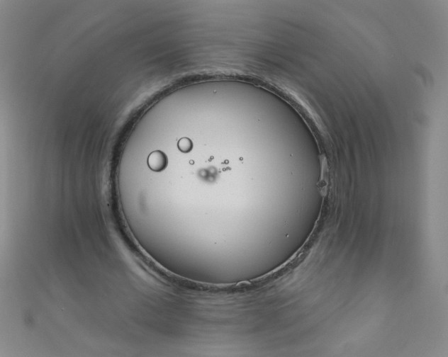 X0000110980677200907022056