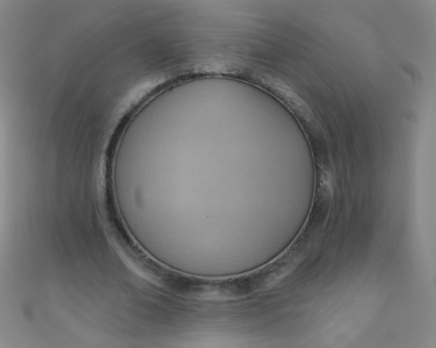 X0000110980678200907022056