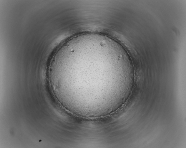 X0000110980679200907022056