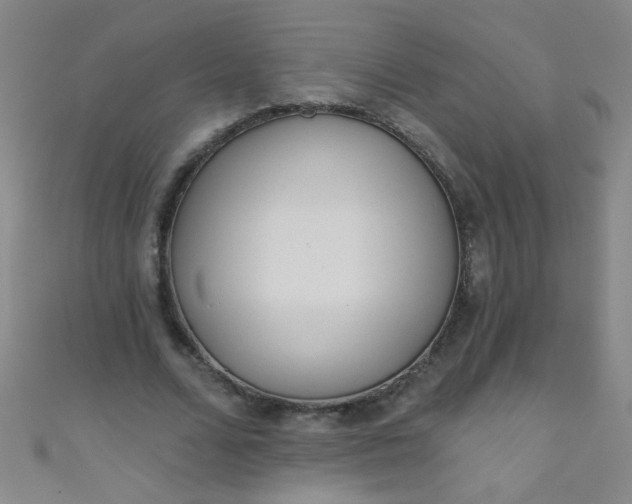 X0000110980680200907022056