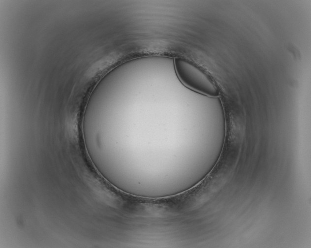 X0000110980681200907022056