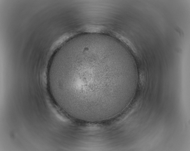 X0000110980682200907022056