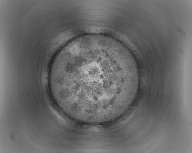 X0000110980683200907022056