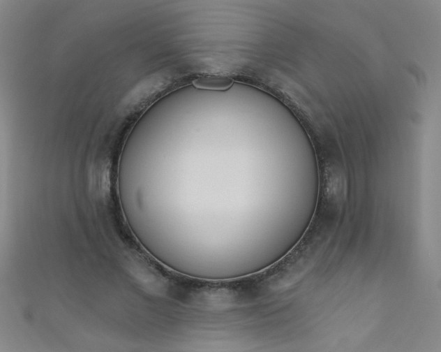 X0000110980685200907022056