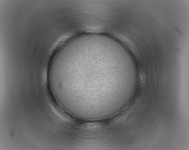 X0000110980686200907022056