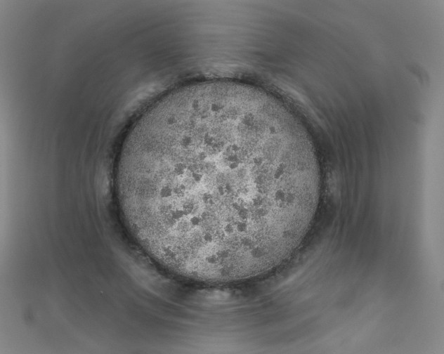 X0000110980687200907022056