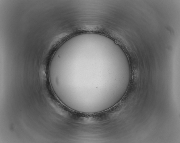 X0000110980688200907022056