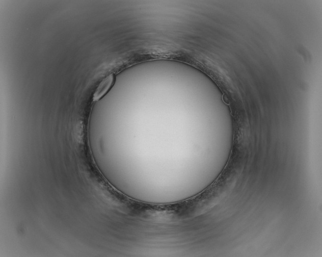 X0000110980689200907022056