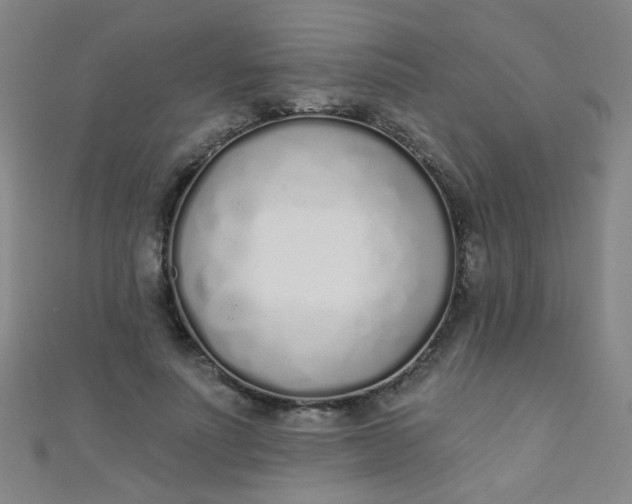 X0000110980691200907022056