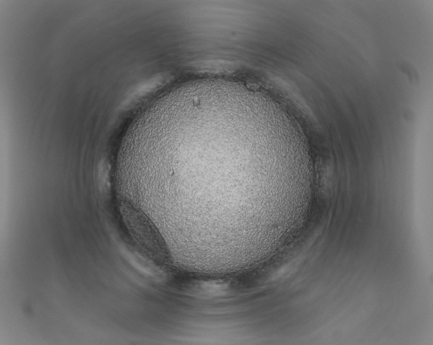 X0000110980692200907022056