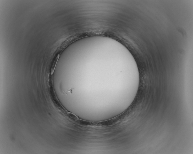 X0000110980693200907022056