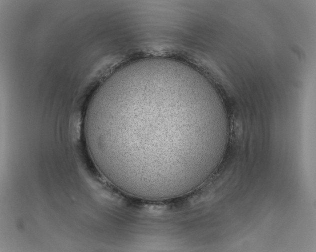 X0000110980694200907022056