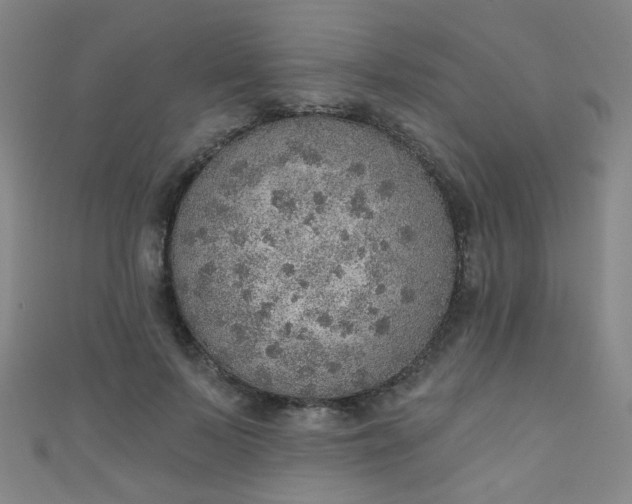 X0000110980695200907022056